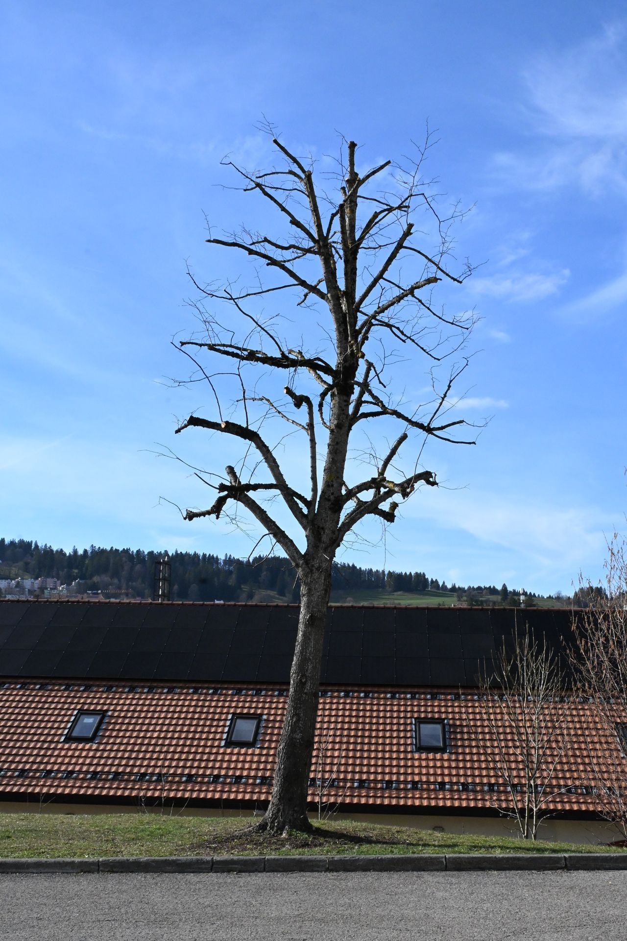 Après travaux