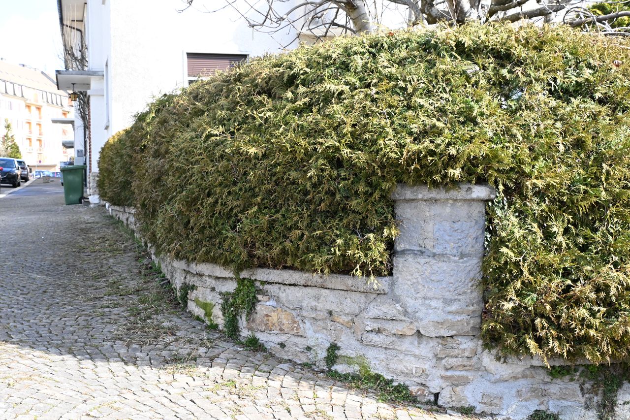 Avant travaux