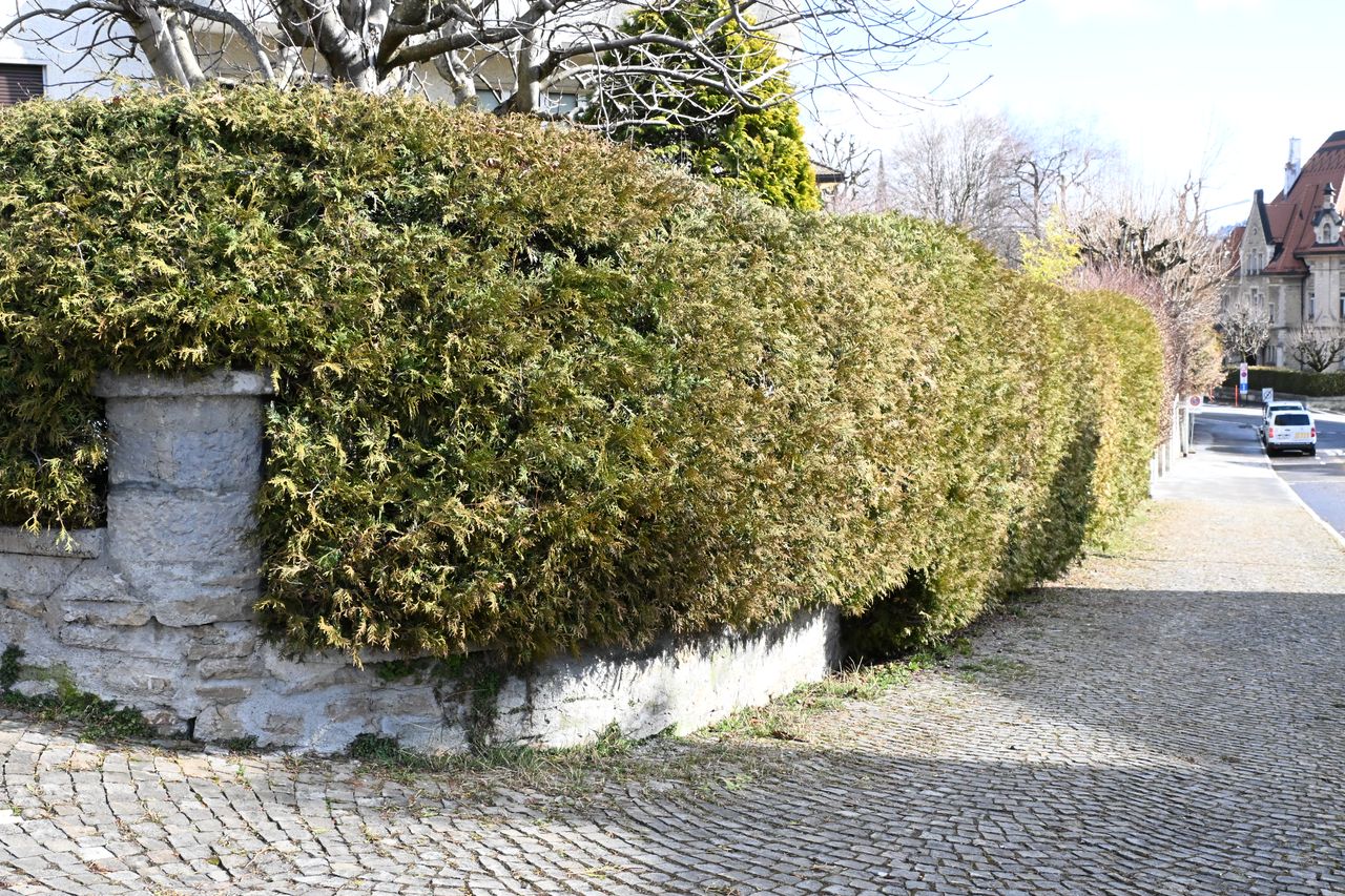 Avant travaux