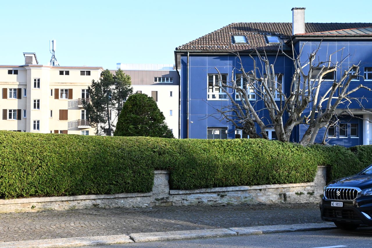 Entretien de jardins – taille de haies La Chaux-de-Fonds