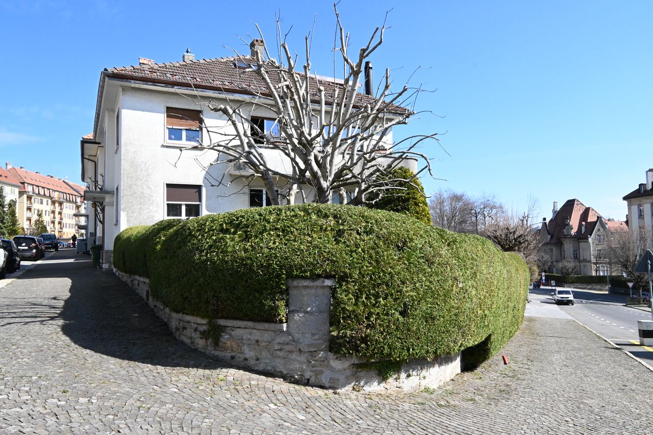 Haie ronde taillée – paysagiste Neuchâtel